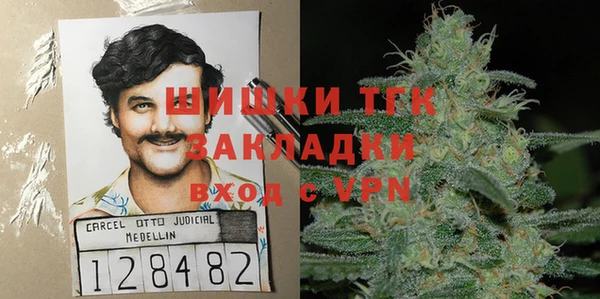 крисы Верхний Тагил