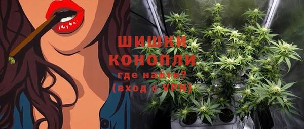 крисы Верхний Тагил