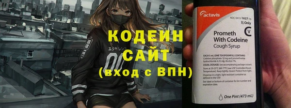 крисы Верхний Тагил